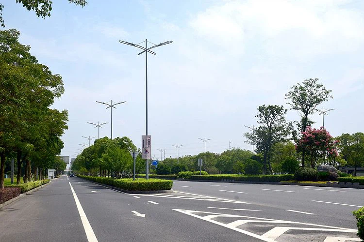Road Lighting Project of Silk Capital Avenue in Wuzhong District